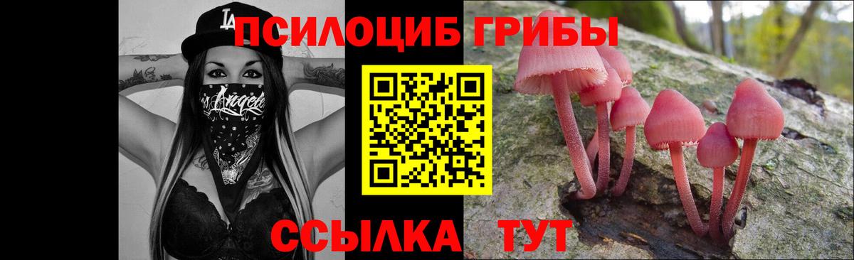 Псилоцибиновые грибы MAGIC MUSHROOMS Ефремов