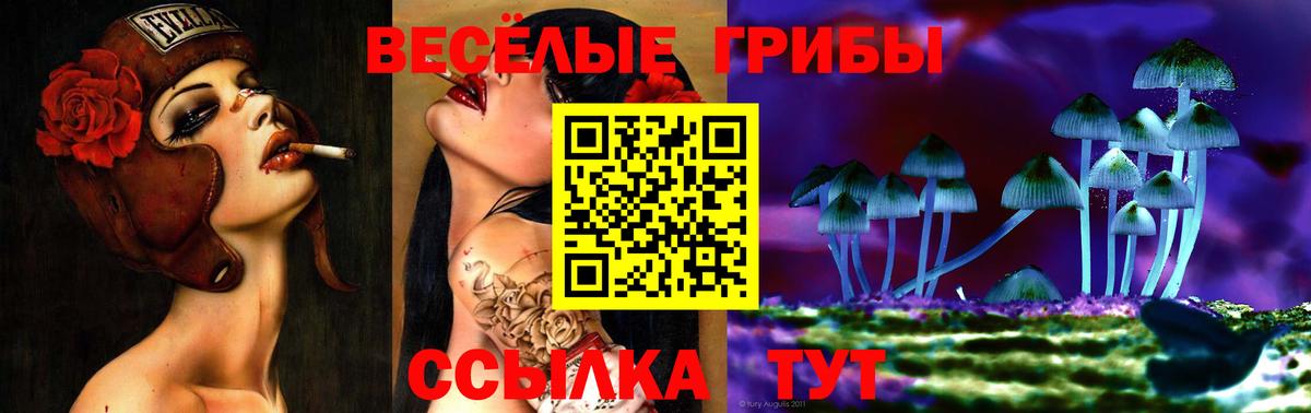 Псилоцибиновые грибы Cubensis  где найти наркотики  Ефремов  Вход с VPN  Псилоцибиновые грибы MAGIC MUSHROOMS 