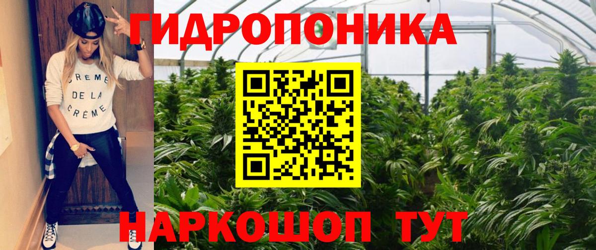 Конопля сатива Ефремов